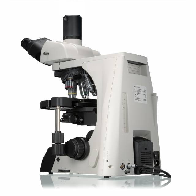 Product View